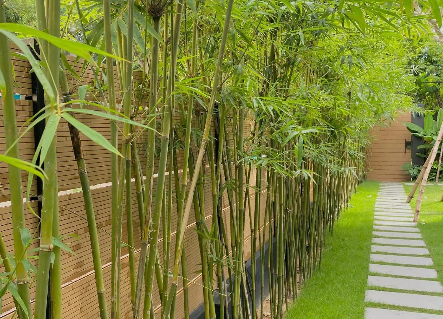 Elambo Space - Khong Gian Nghỉ DuõNg San VuòN GàN BiẻN Da Nang Holiday home